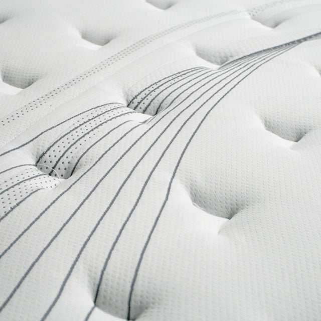 Afton White/Gray 12" Euro Box Pocket  Queen Coil - Image 3