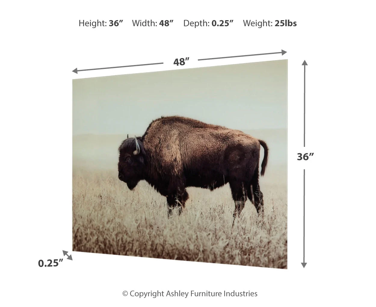 Brutus Wall Art - Image 4