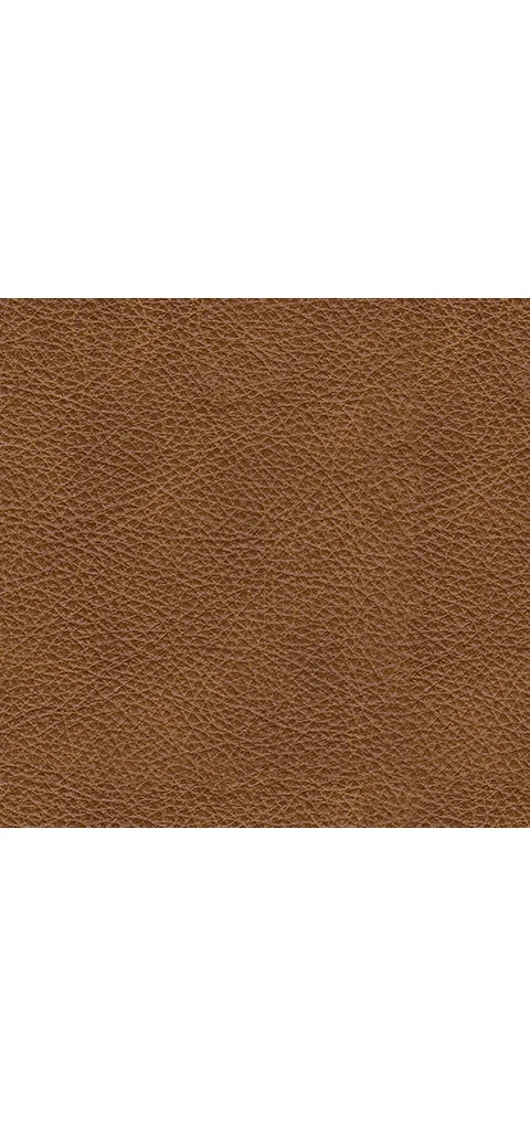 Carianna Ottoman - Image 6