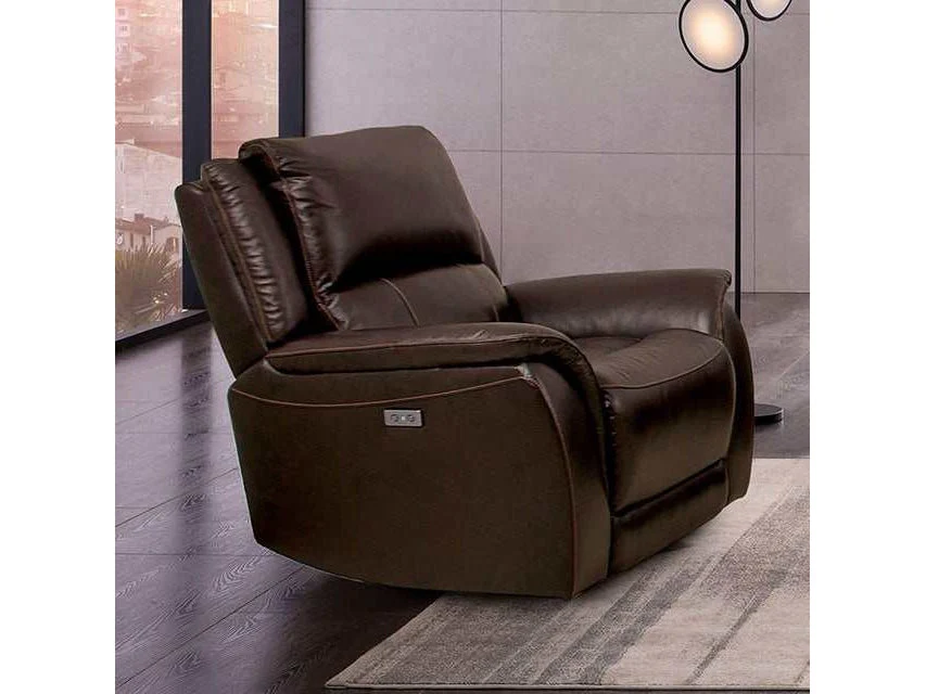 Gorgius Espresso Top Grain Leather Match Power Recliner