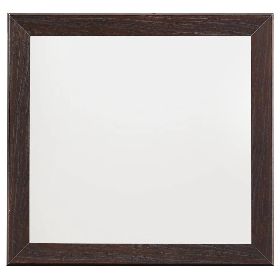 Kauffman Dresser Mirror - Image 5