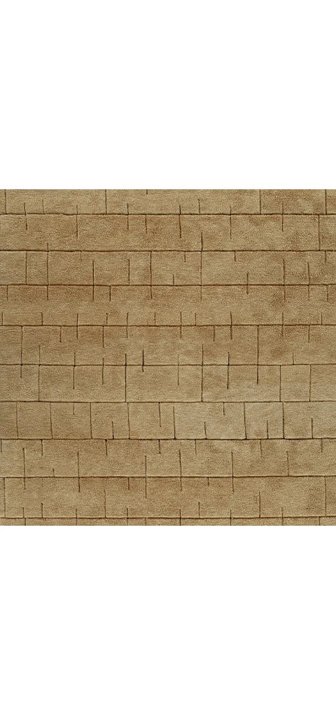 Luzmont Rug - Image 9