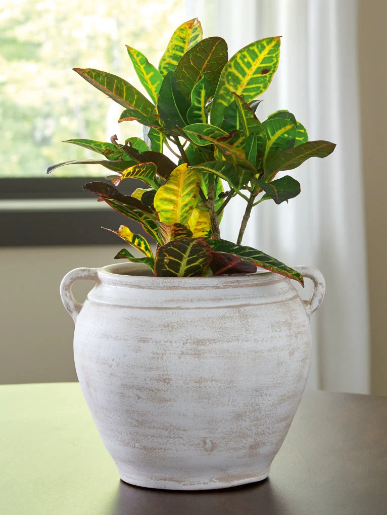 Meadie Vase - Image 9