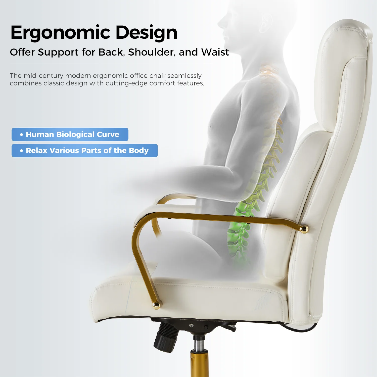 Bradford Ergonomic Office Chair with Lumbar Support in Ivory - Image 4