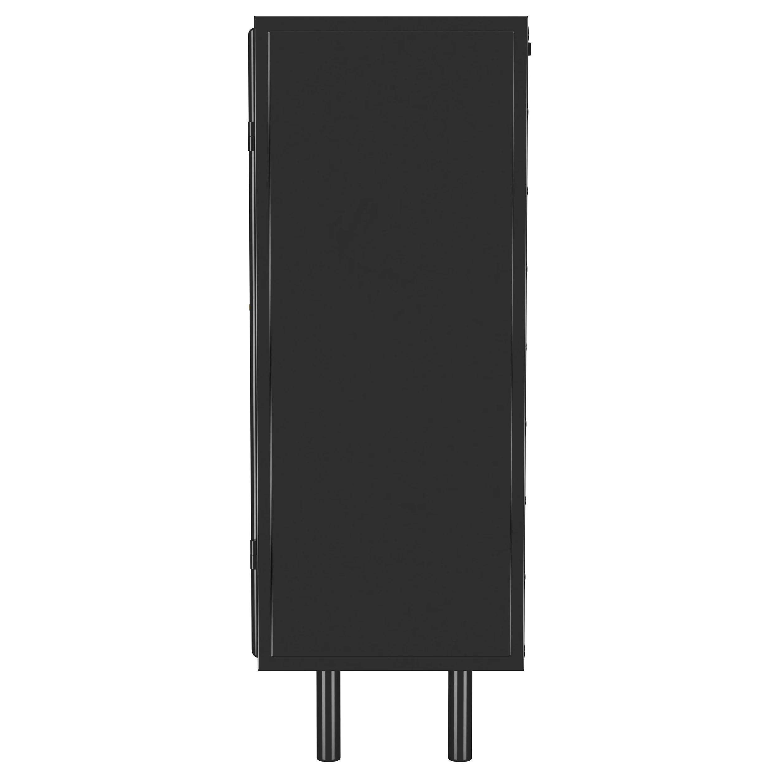 Dalia 2-door Accent Storage Cabinet with Shelving Black - Image 5