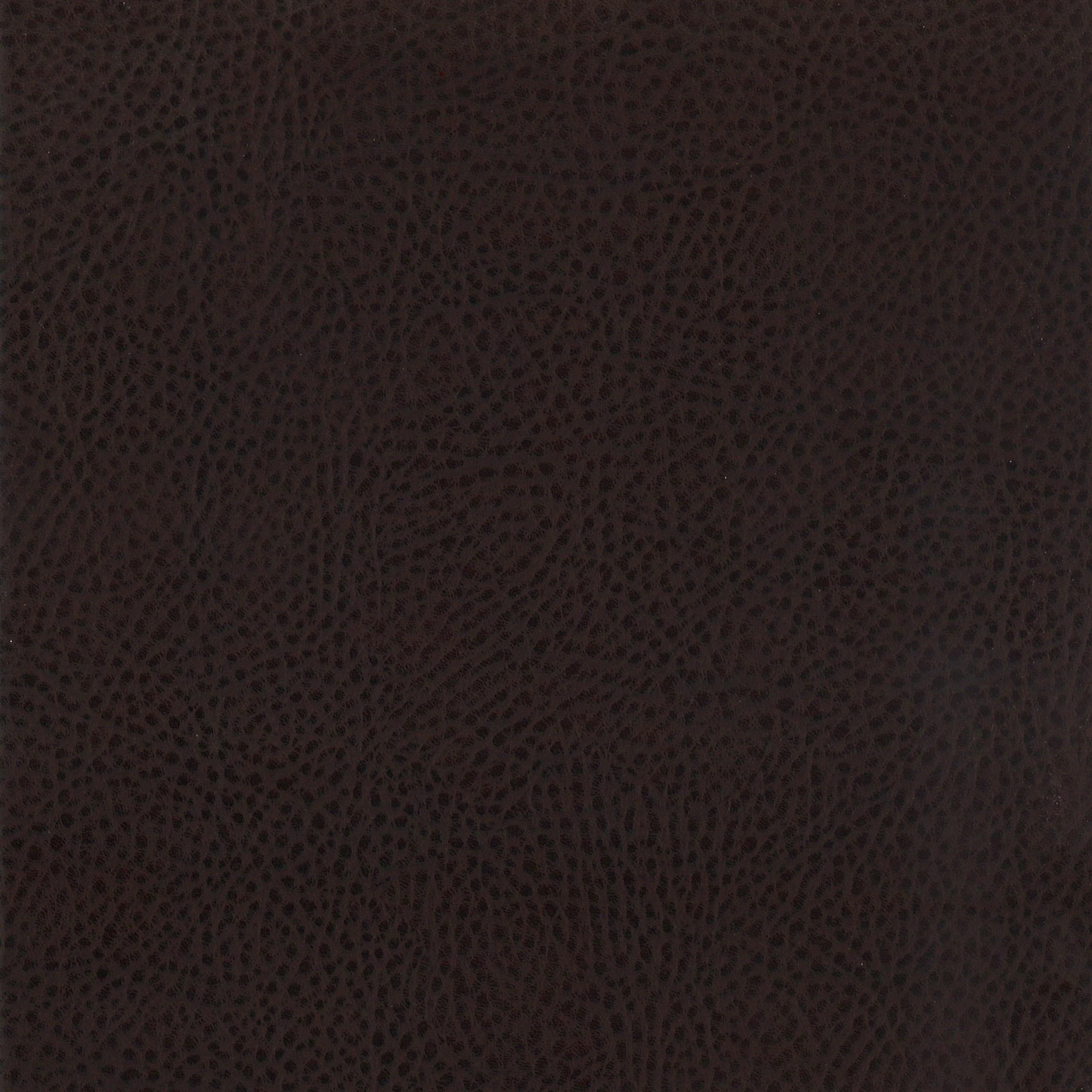 Dewey Upholstered Counter Chair Walnut (Set of 2) - Image 11