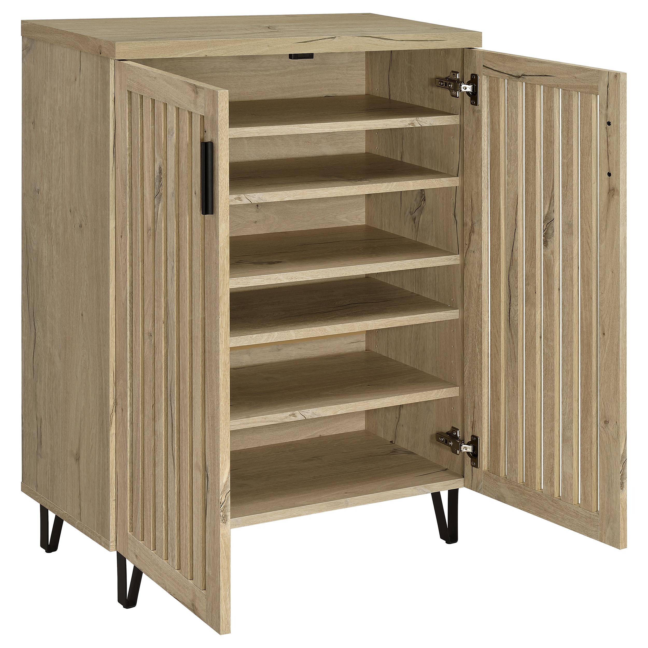 Brixton 2-door Entryway Shoe Storage Cabinets - Image 12