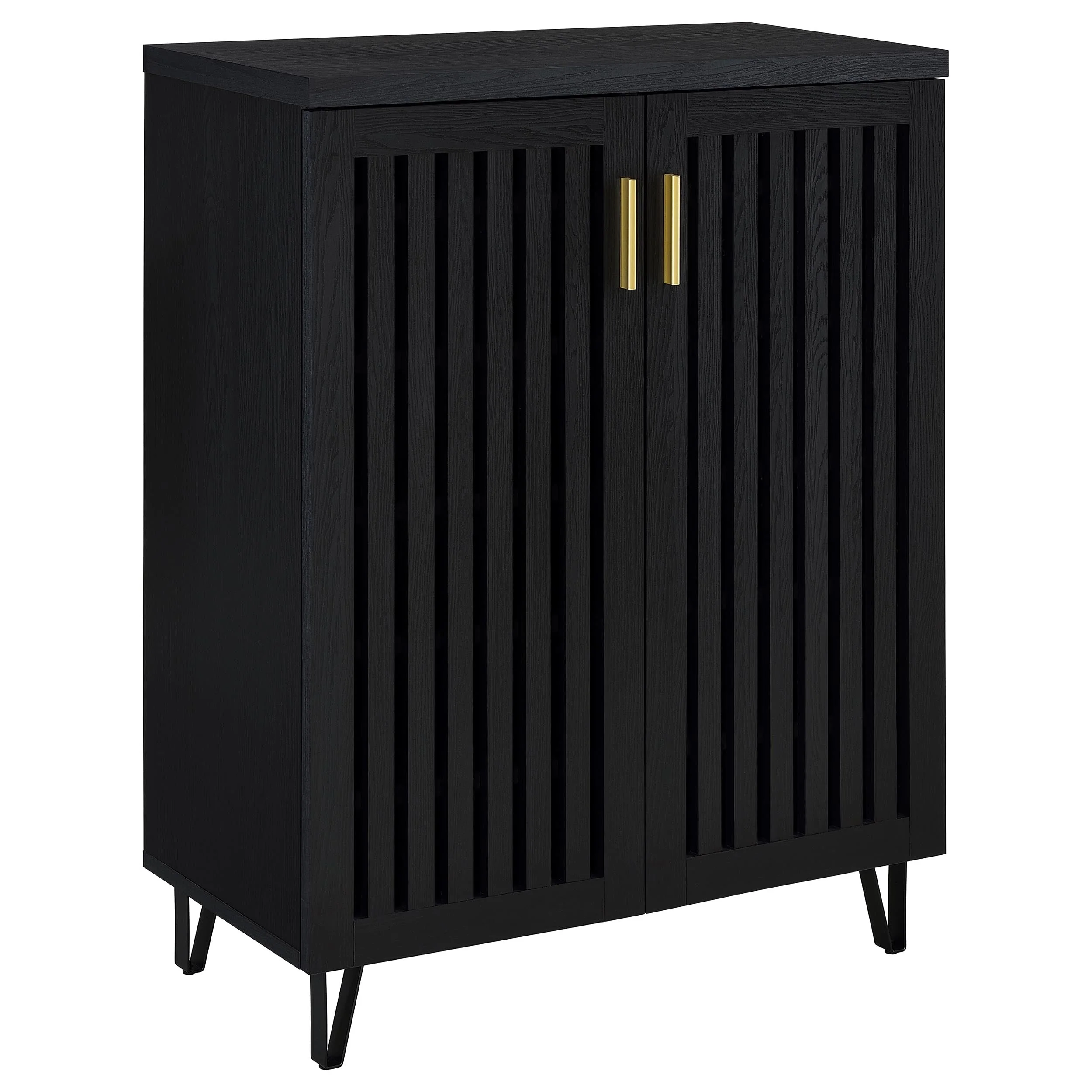 Brixton 2-door Entryway Shoe Storage Cabinets - Image 4