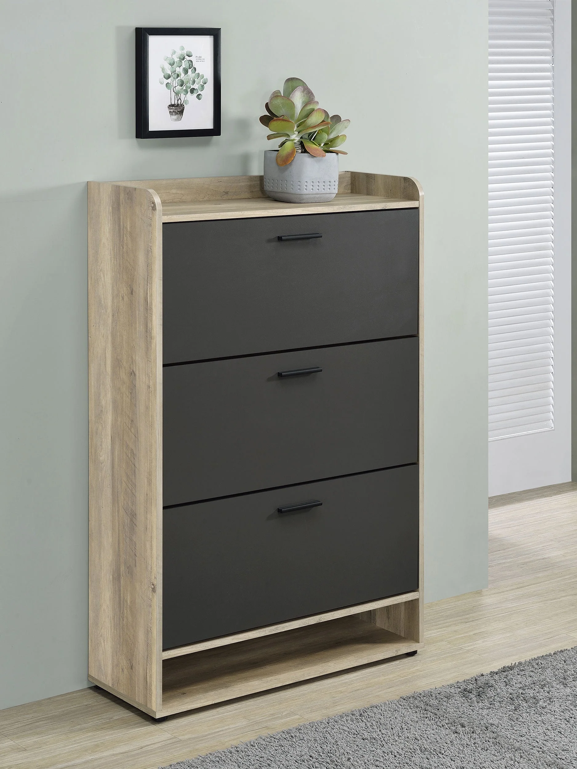 Denia 3-tier Engineered Wood Shoe Cabinet - Image 6