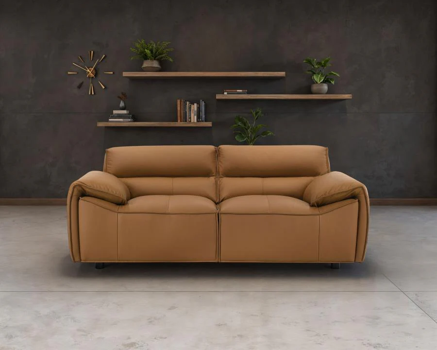 Buxton Top Grain Leather Upholstered Loveseat