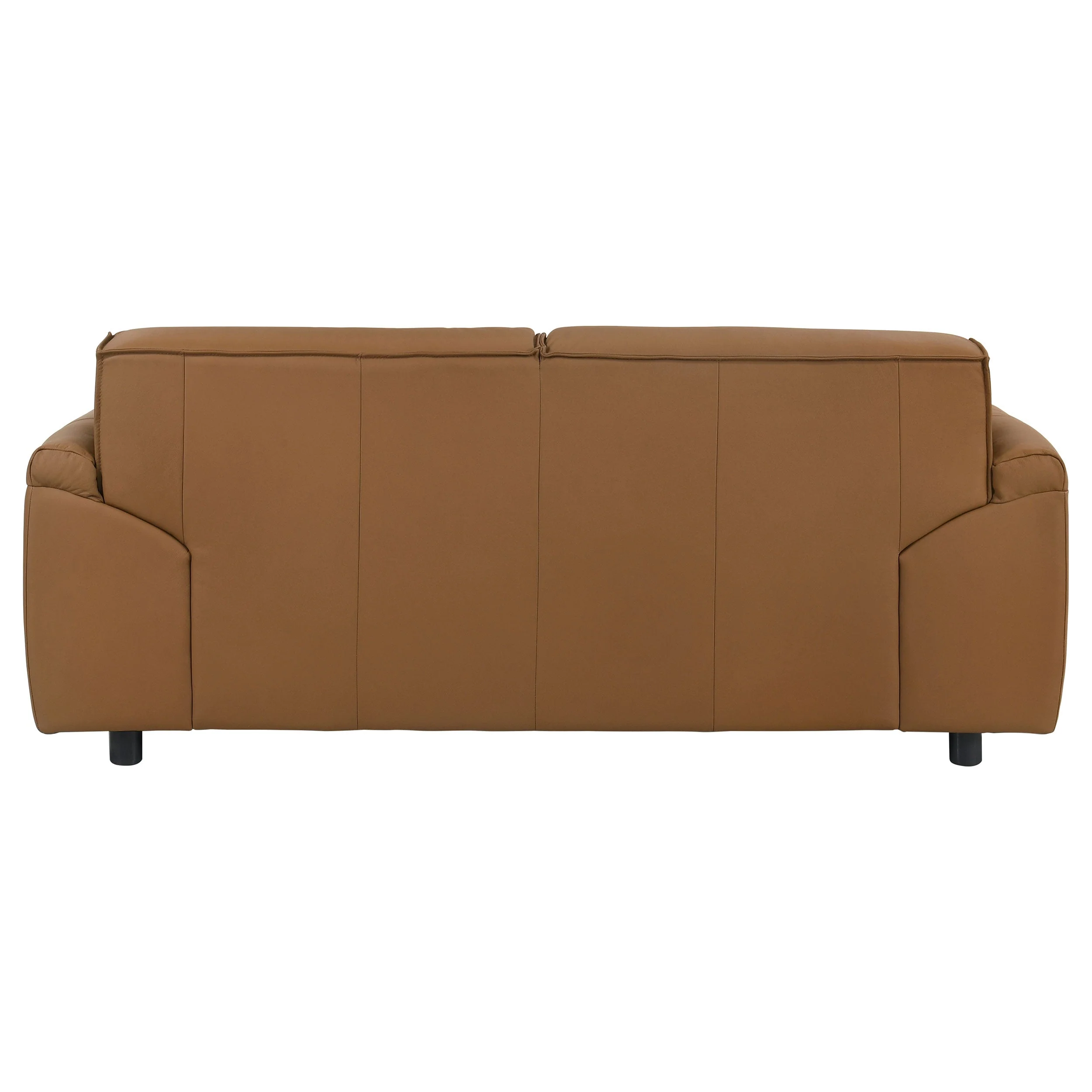 Buxton Top Grain Leather Upholstered Loveseat - Image 15