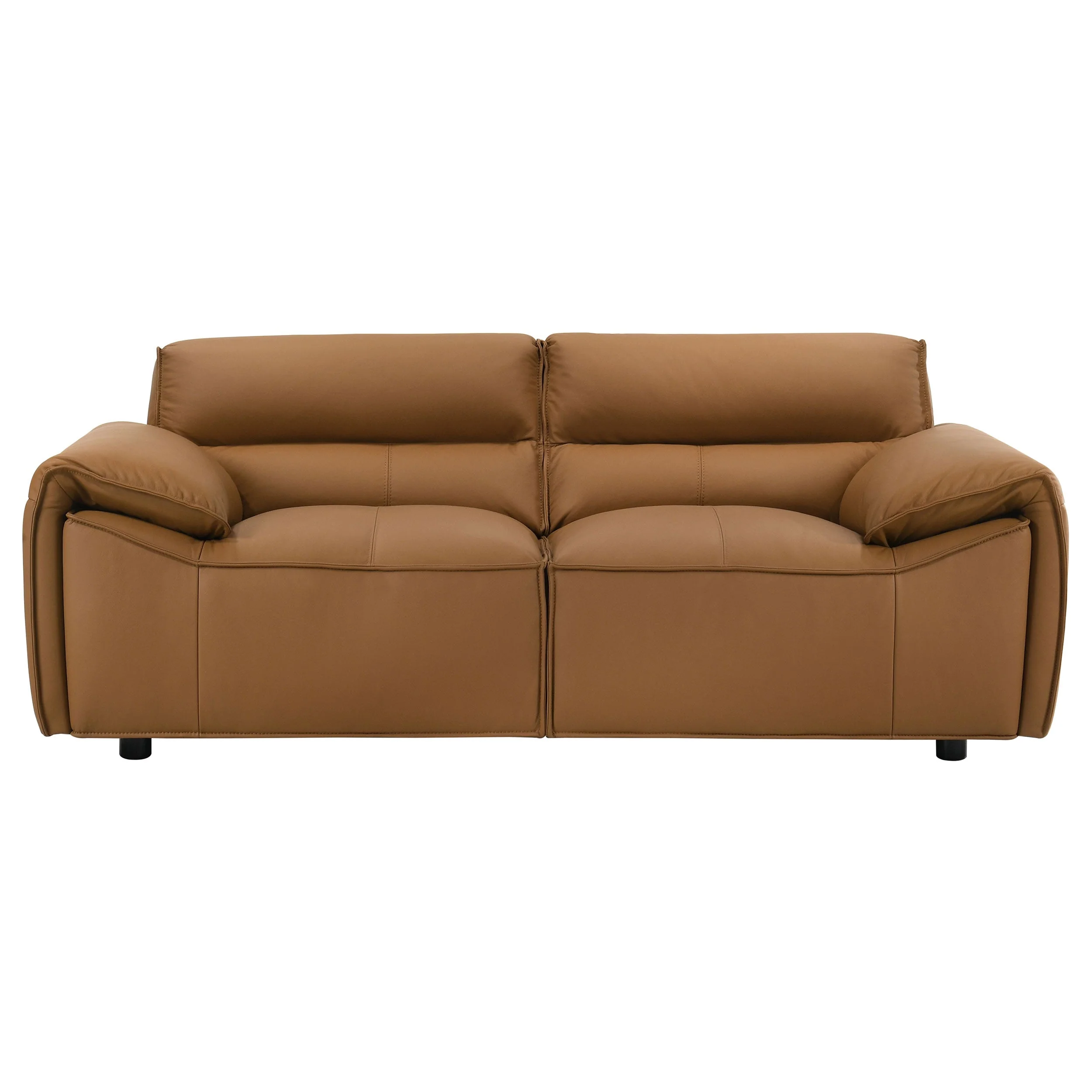 Buxton Top Grain Leather Upholstered Loveseat - Image 7