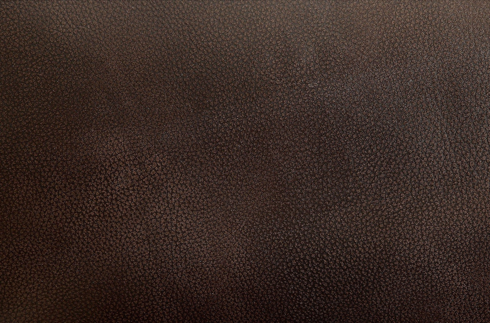 Ruth Brown Sofa & Loveseat - Image 4