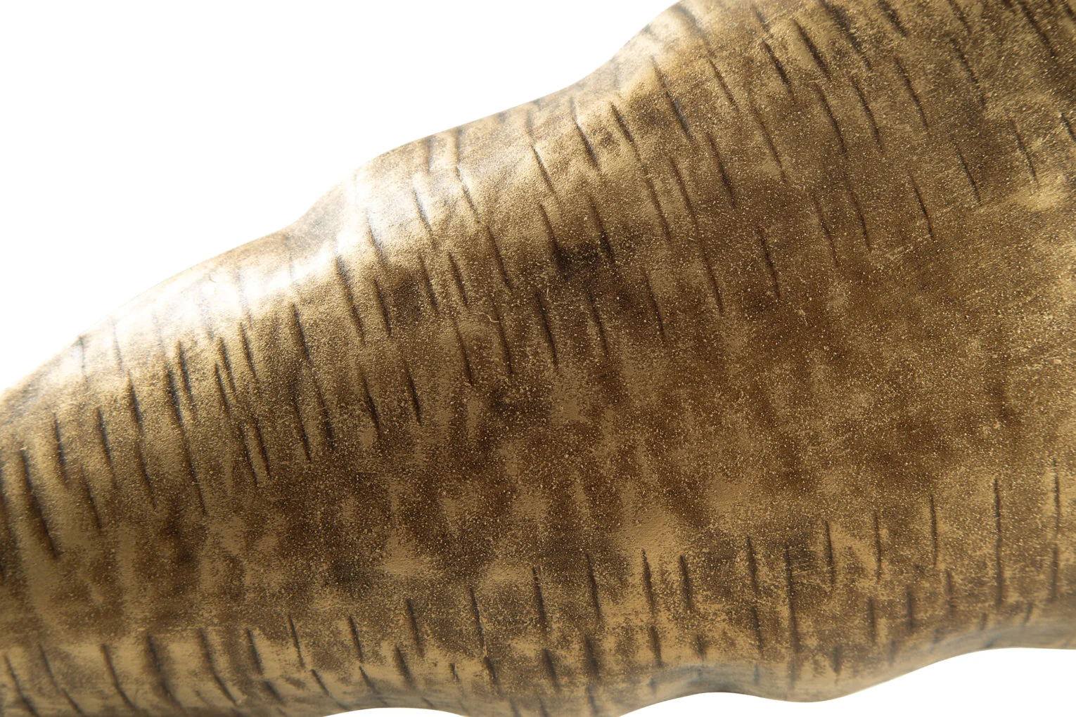 Wystenburg Tray - Image 4